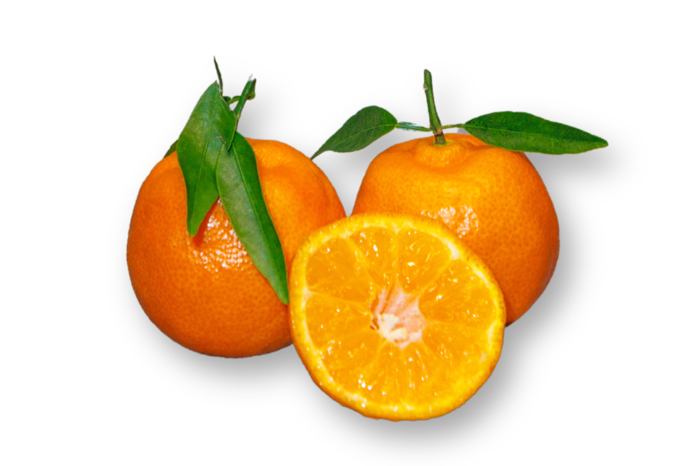 Bladclementine