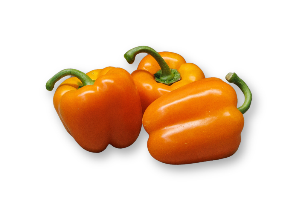 Paprika oranje