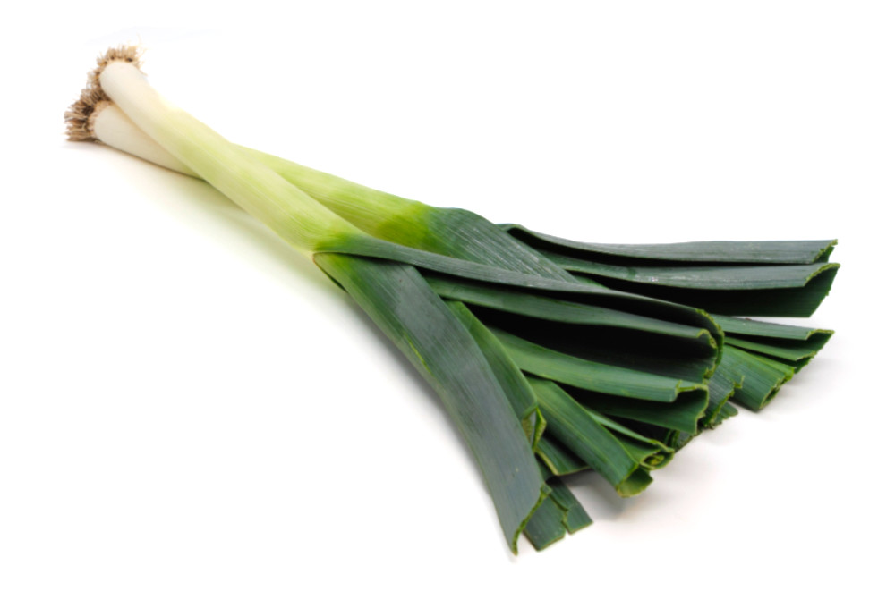 Leek