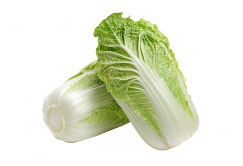 Chinese cabbage