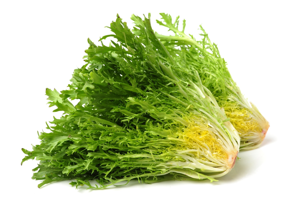 Frisée green