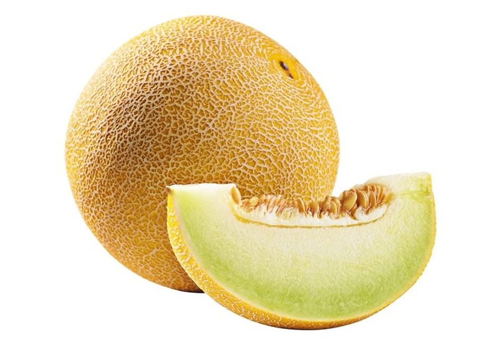 Melon Galia