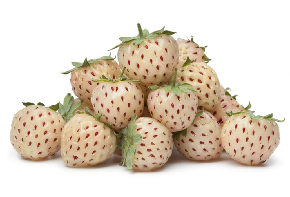 Pineberries