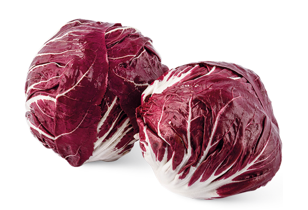 Radicchio