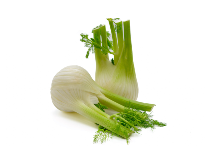 Fennel